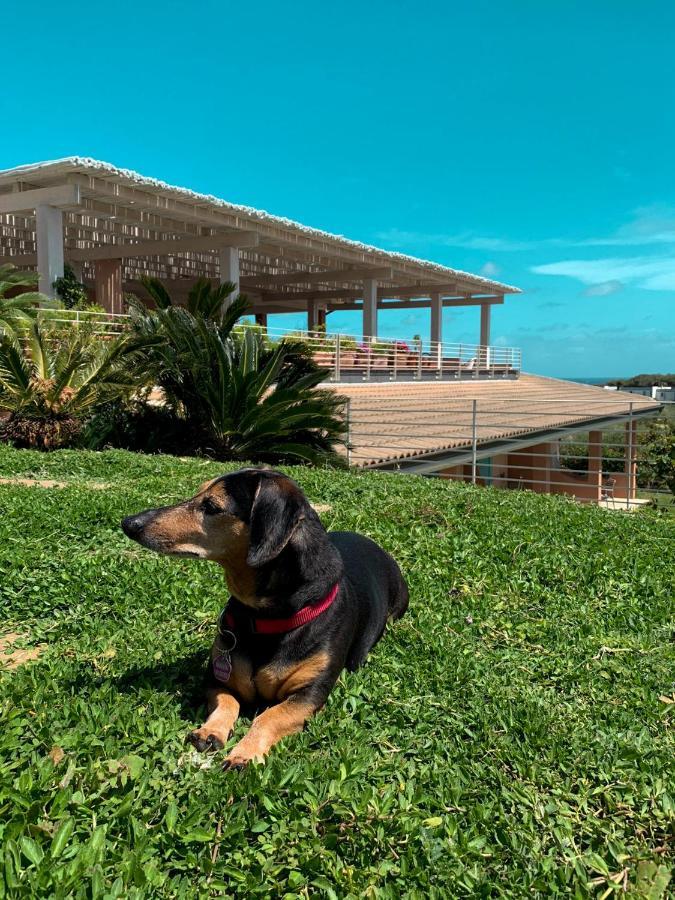 Park Hotel Asinara Stintino Eksteriør bilde